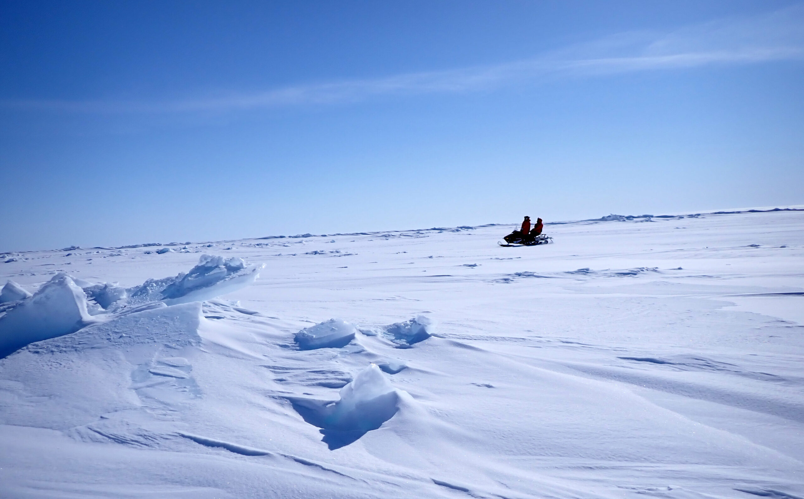 Photo courtesy of Hoi M. Lam