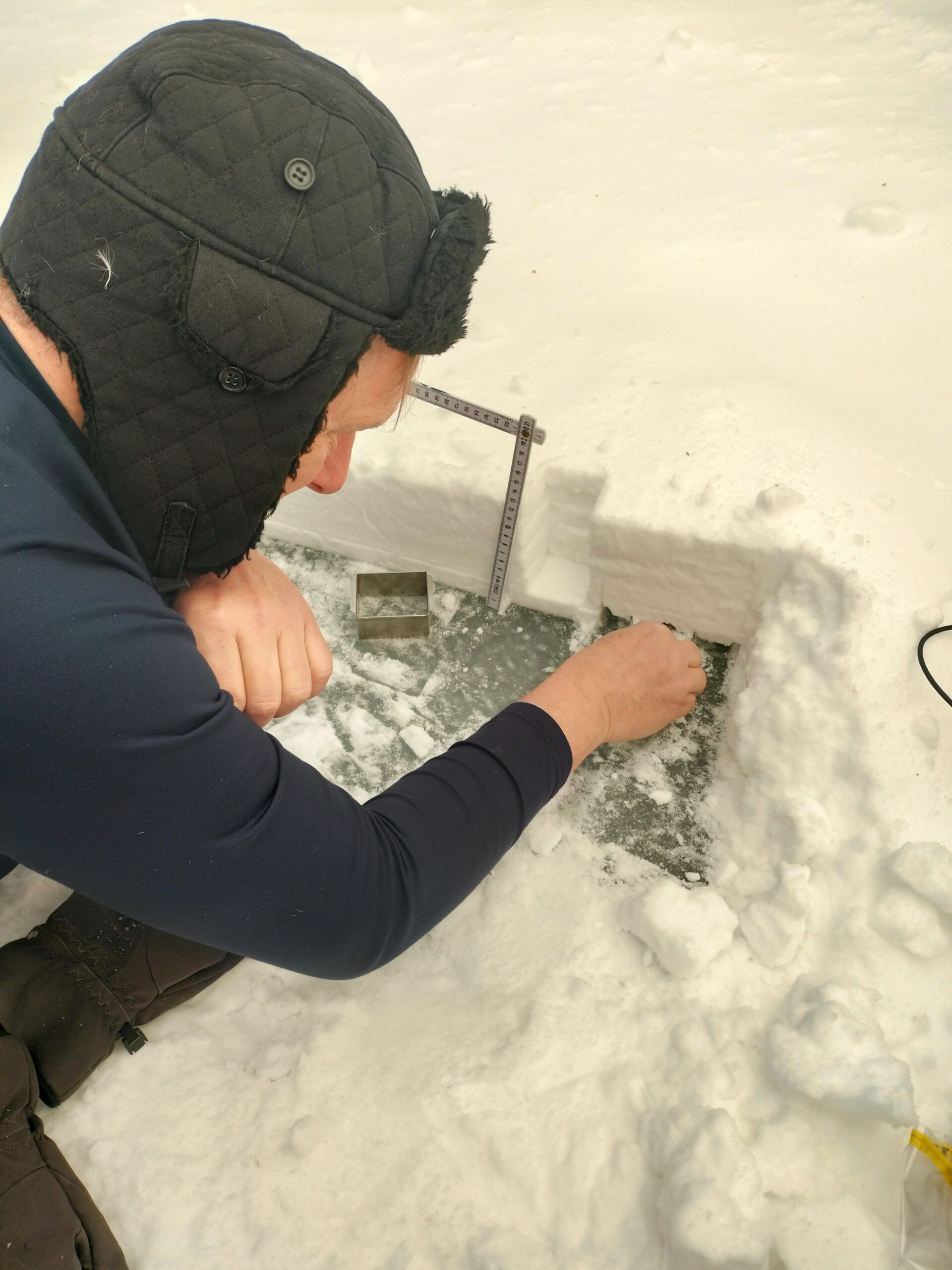 Photo courtesy of K. S. Tomar