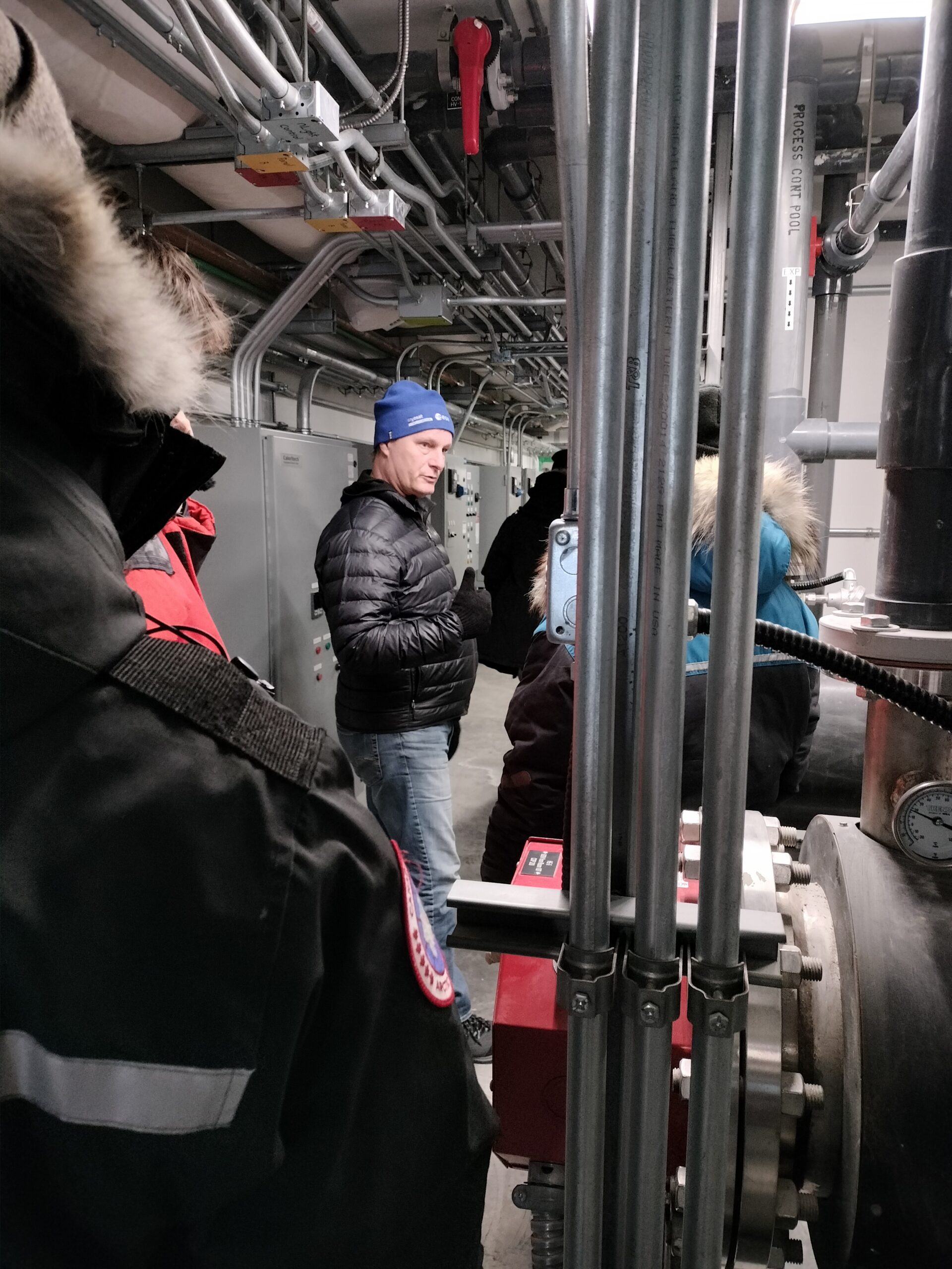 Photo courtesy of K. S. Tomar