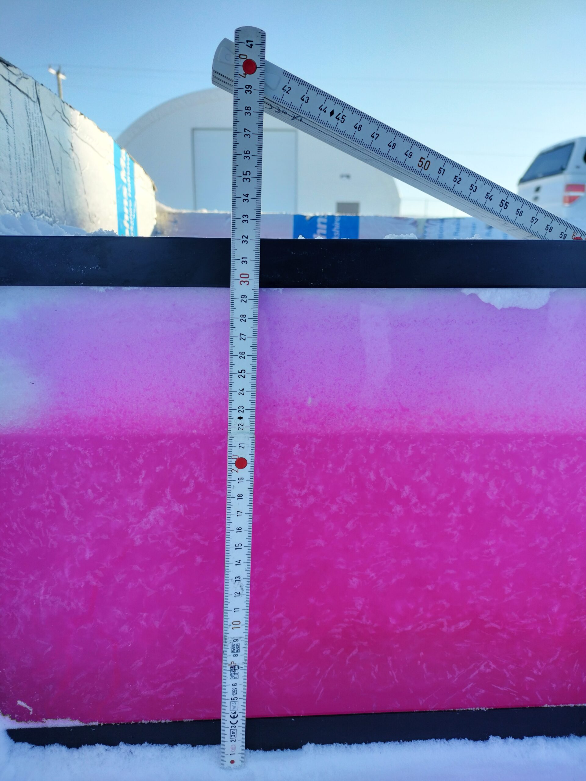 Photo courtesy of K. S. Tomar