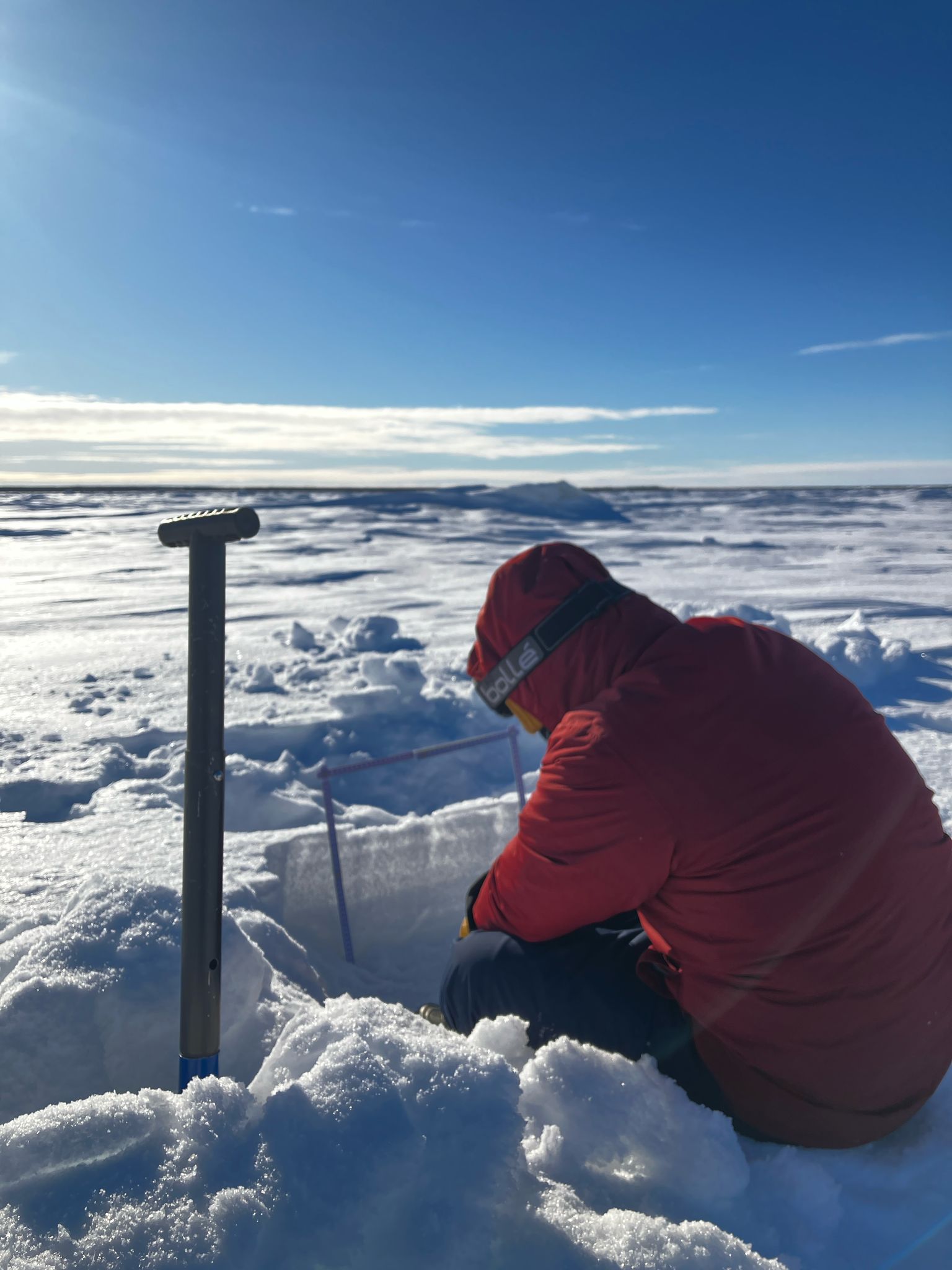 Photo courtesy of K. S. Tomar