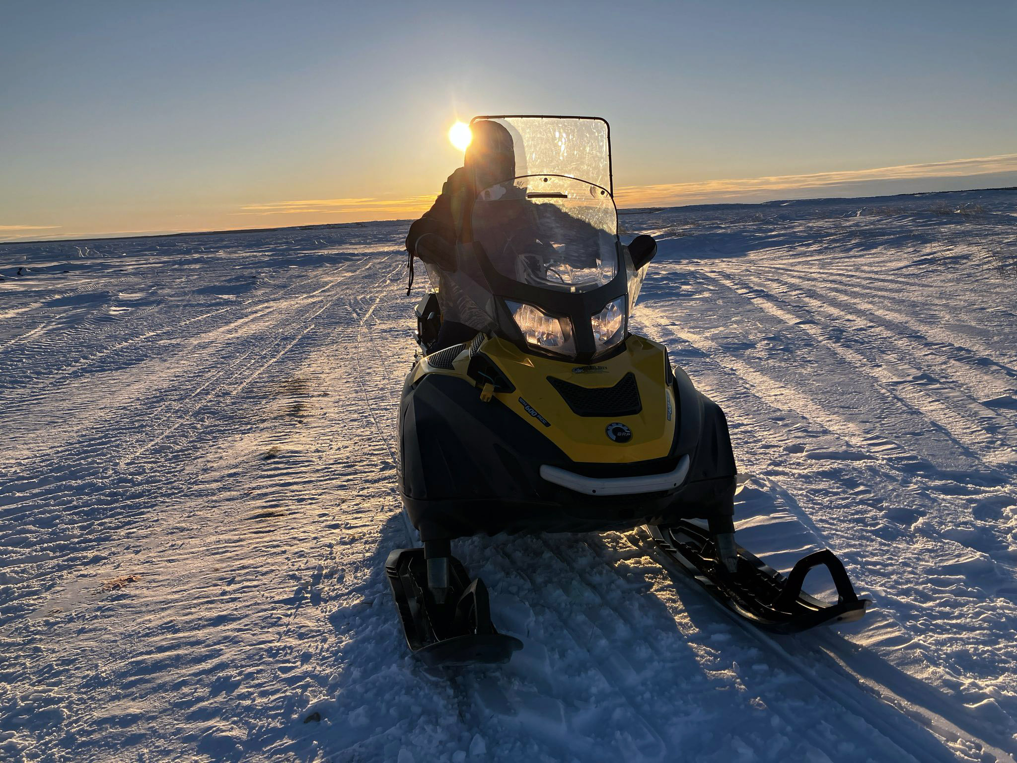 Photo courtesy of K. S. Tomar