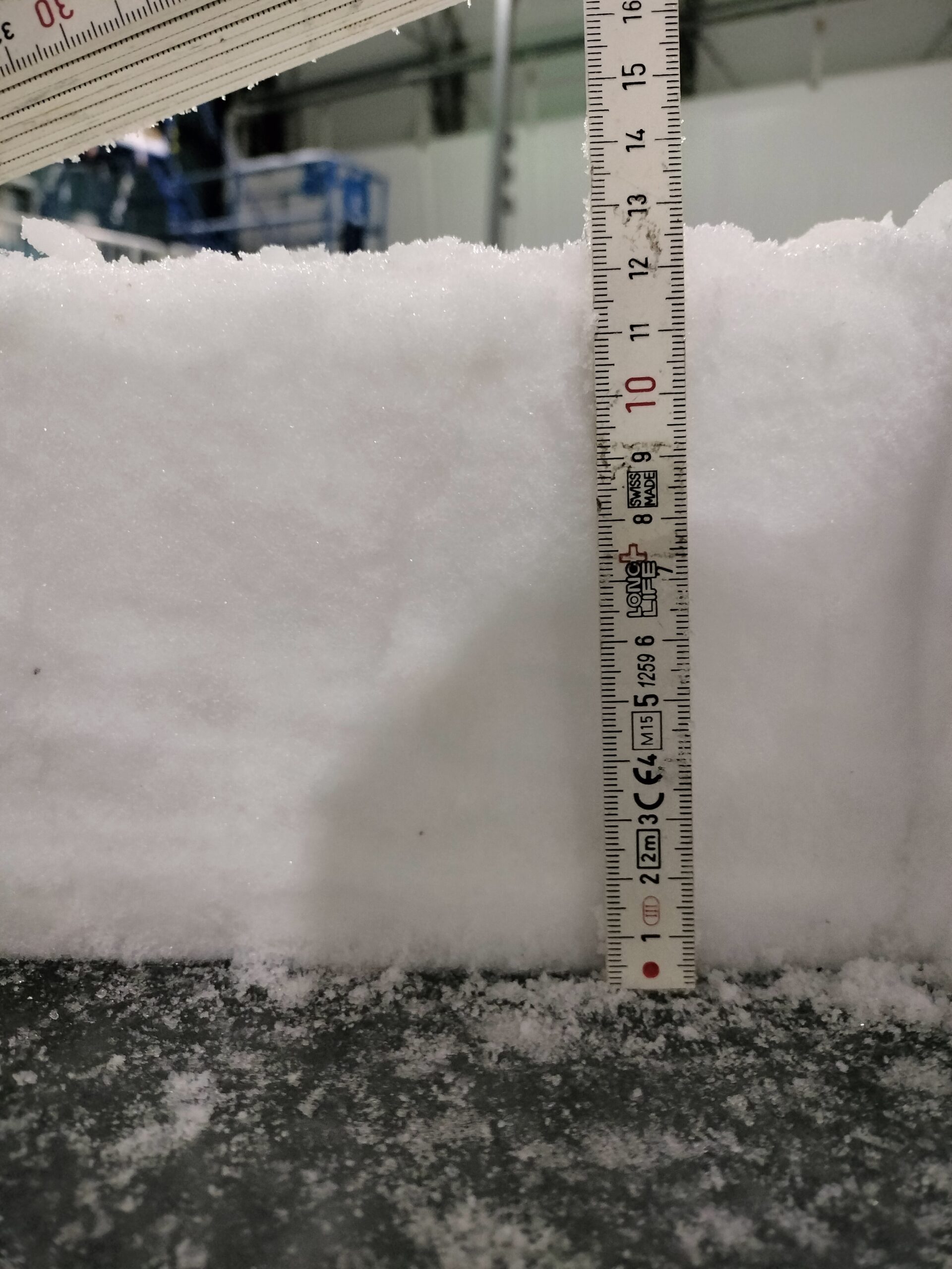 Photo courtesy of K. S. Tomar