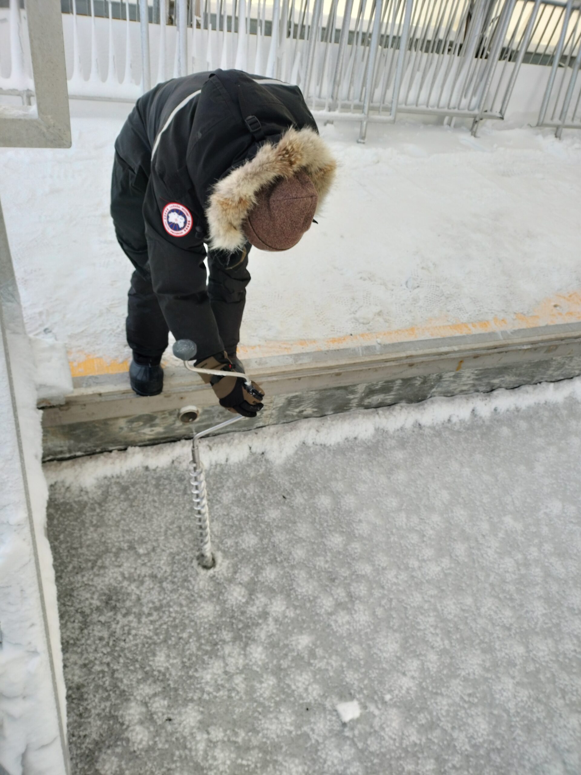 Photo courtesy of K. S. Tomar