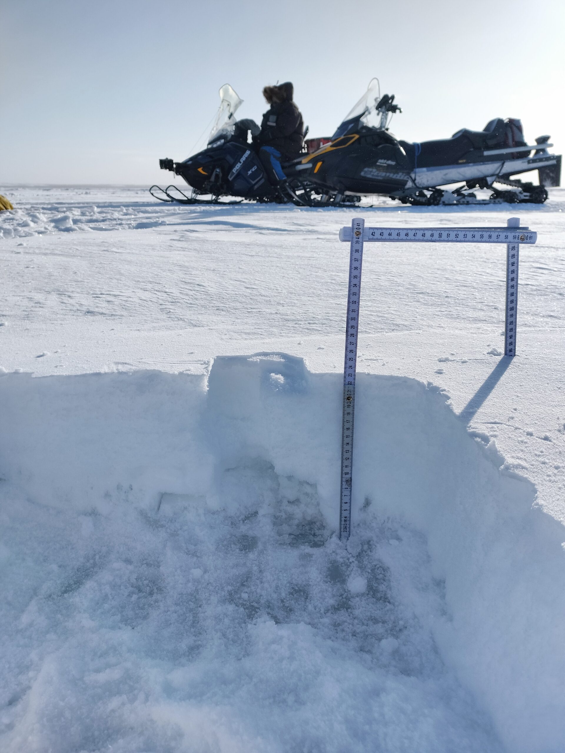 Photo courtesy of K. S. Tomar