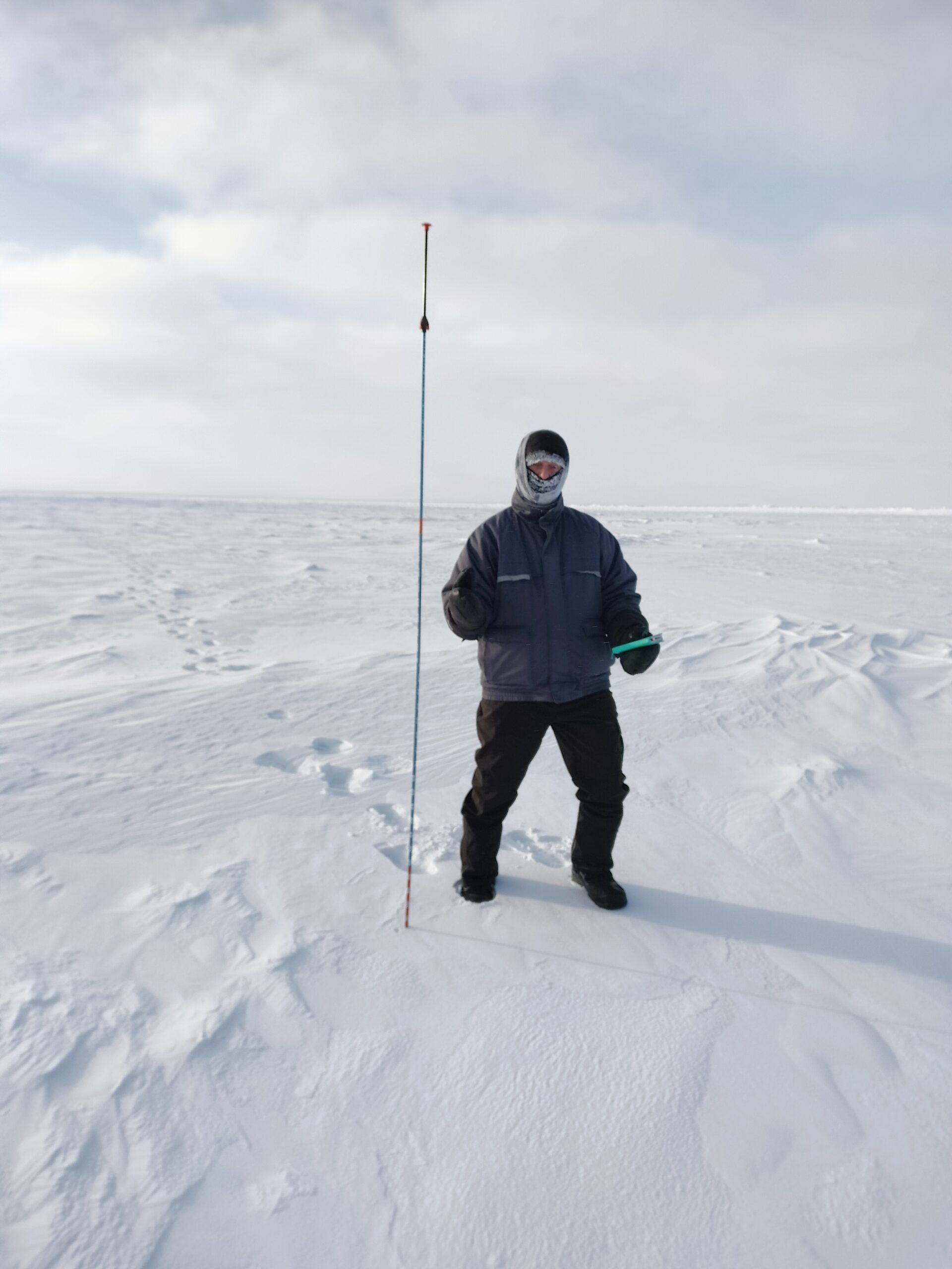 Photo courtesy of K. S. Tomar